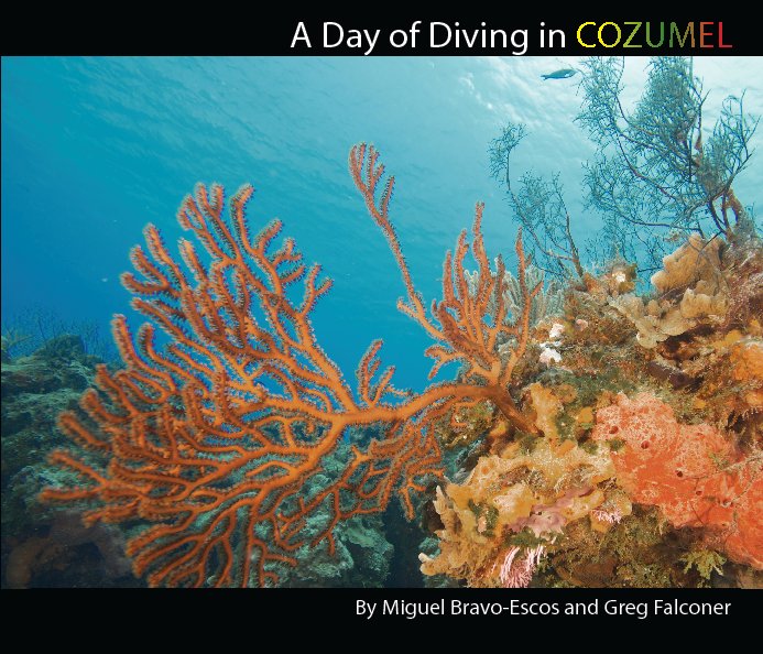 View A Day of Diving in Cozumel by Miguel Bravo-Escos and Greg Falconer