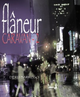 flaneur book cover