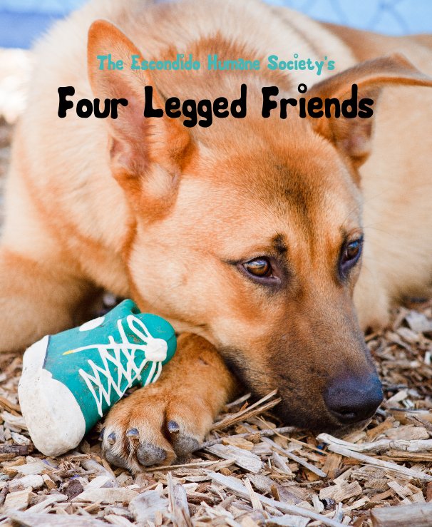 View The Escondido Humane Society's Four Legged Friends by Ali Helseth