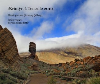 Ævintýri á Tenerife 2010 book cover