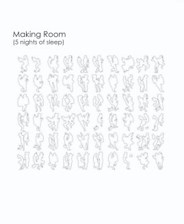 Making Room (5 nights of sleep) book cover