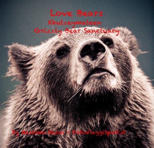 Love Bears nach Massimo Basso - FotoViaggiSport.it anzeigen