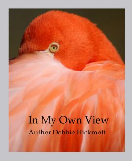In My Own View Author Debbie Hickmott book cover