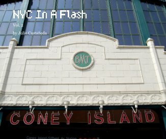 NYC In A Flash book cover