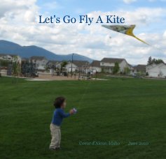 Let's Go Fly A Kite book cover