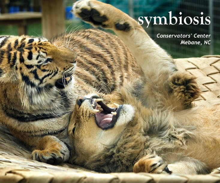 View symbiosis by Conservators' Center