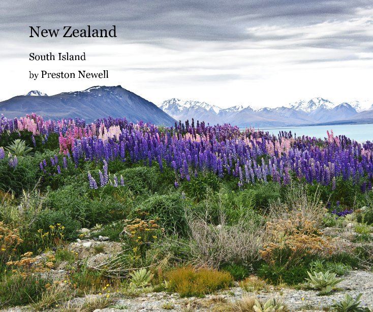 View New Zealand by Preston Newell