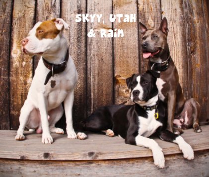 Skyy, Utah & Rain book cover