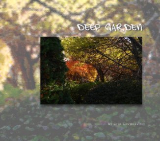 Deep Garden book cover