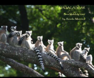 MADAGASCAR book cover
