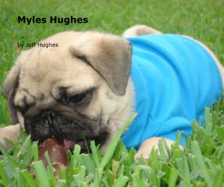 Myles Hughes book cover