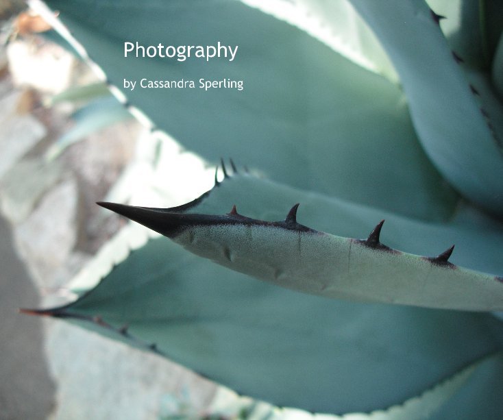 View Photography by Cassandra Sperling