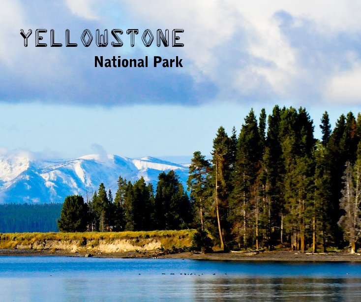 View Yellowstone by Pat VanDeCapelle