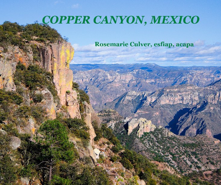 View COPPER CANYON, MEXICO by Rosemarie Culver, esfiap, acapa
