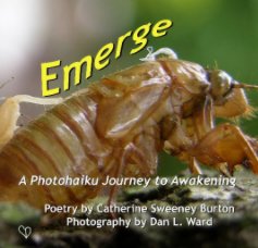 Emerge book cover