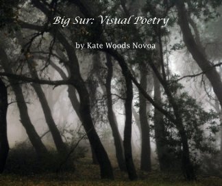 Big Sur: Visual Poetry book cover