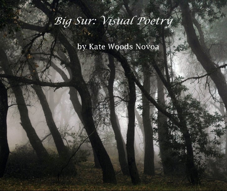 Ver Big Sur: Visual Poetry por by Kate Woods Novoa