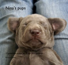 Nina's pups book cover