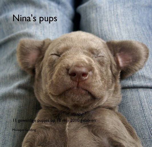 View Nina's pups by Monique Gidding
