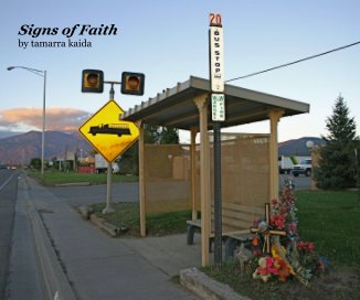 Signs of Faith by tamarra kaida book cover