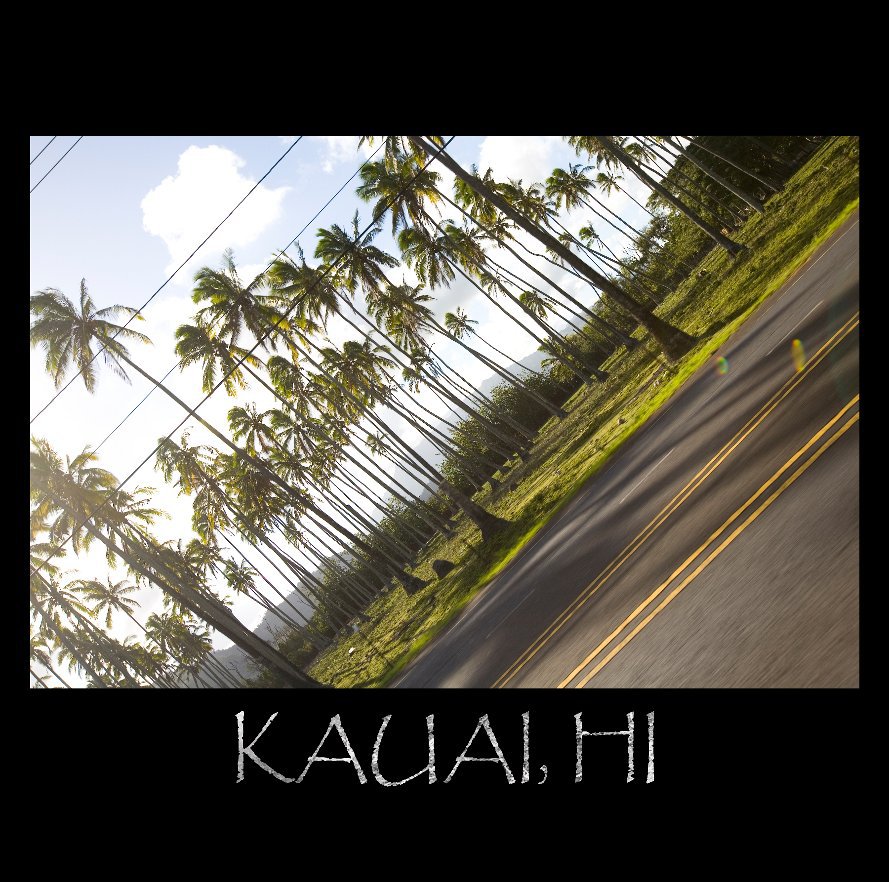 View Kauai, HI 2010 by Nicki Wohland