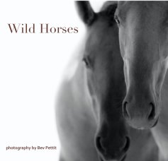 Wild Horses book cover