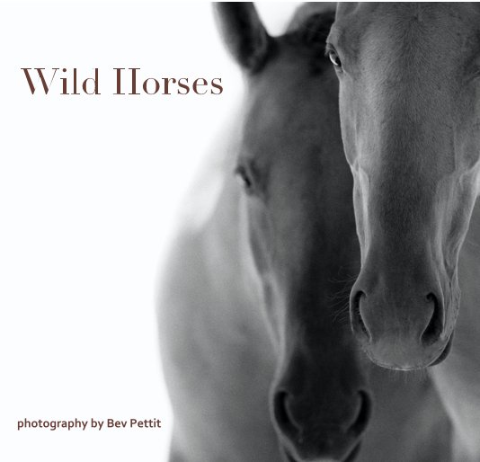 Bekijk Wild Horses op Bev Pettit