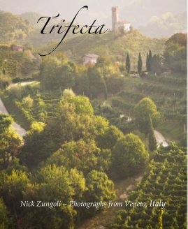 Trifecta book cover