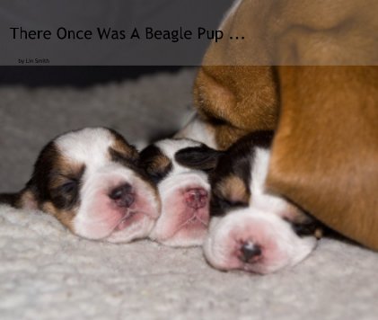 There Once Was A Beagle Pup ... book cover