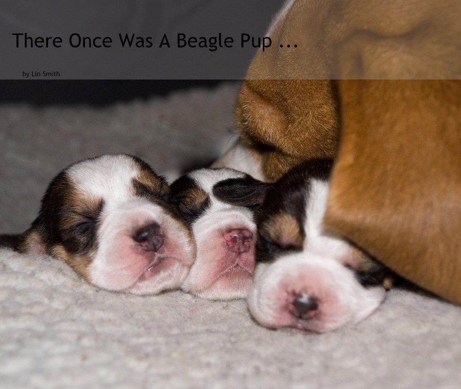 There Once Was A Beagle Pup ... nach Lin Smith anzeigen