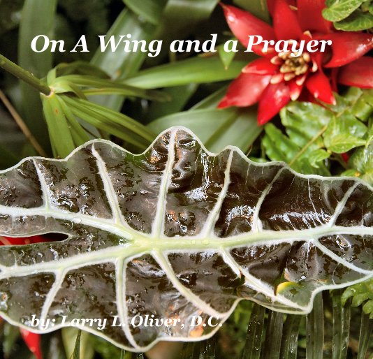 Visualizza On A Wing and a Prayer di by: Larry L. Oliver, D.C.