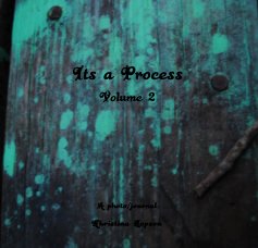 Its a Process Volume 2 book cover