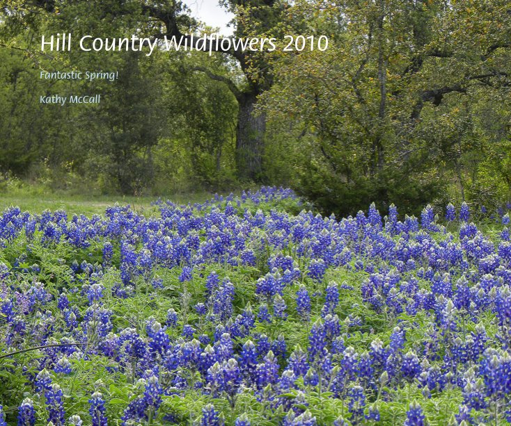 View Hill Country Wildflowers 2010 by Kathy McCall