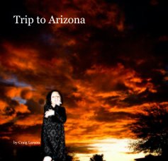 Trip to Arizona 2010 book cover