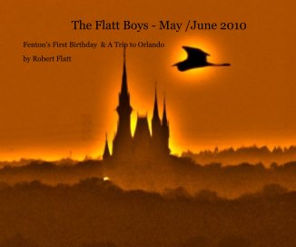 The Flatt Boys - May /June 2010 book cover
