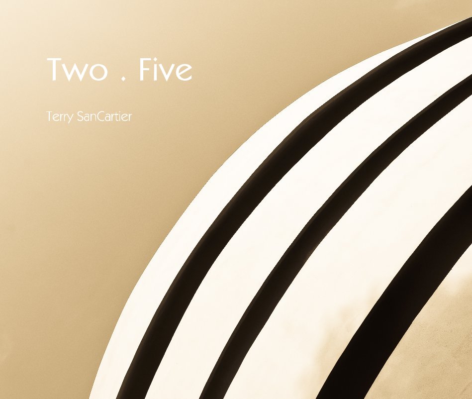 Visualizza Two . Five di Terry SanCartier