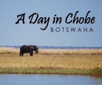 A Day in Chobe book cover