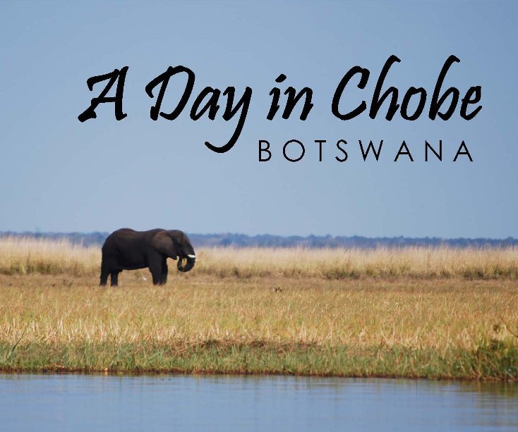 View A Day in Chobe by Cynthia Radford