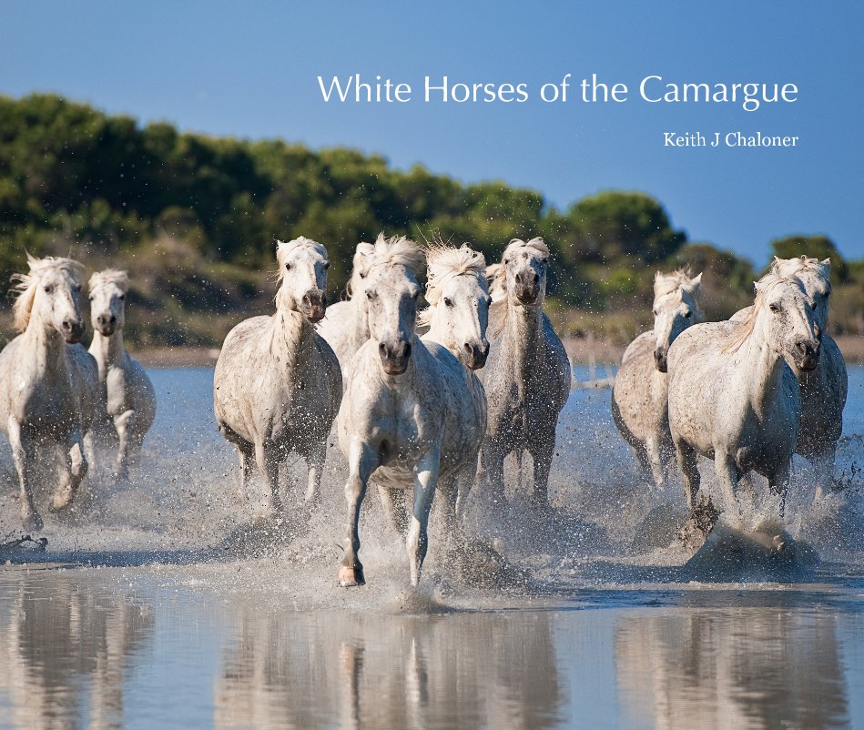 View White Horses of the Camargue by Keith J Chaloner