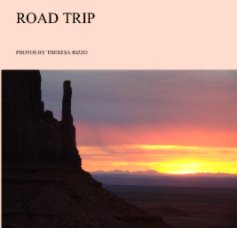 ROAD TRIP book cover