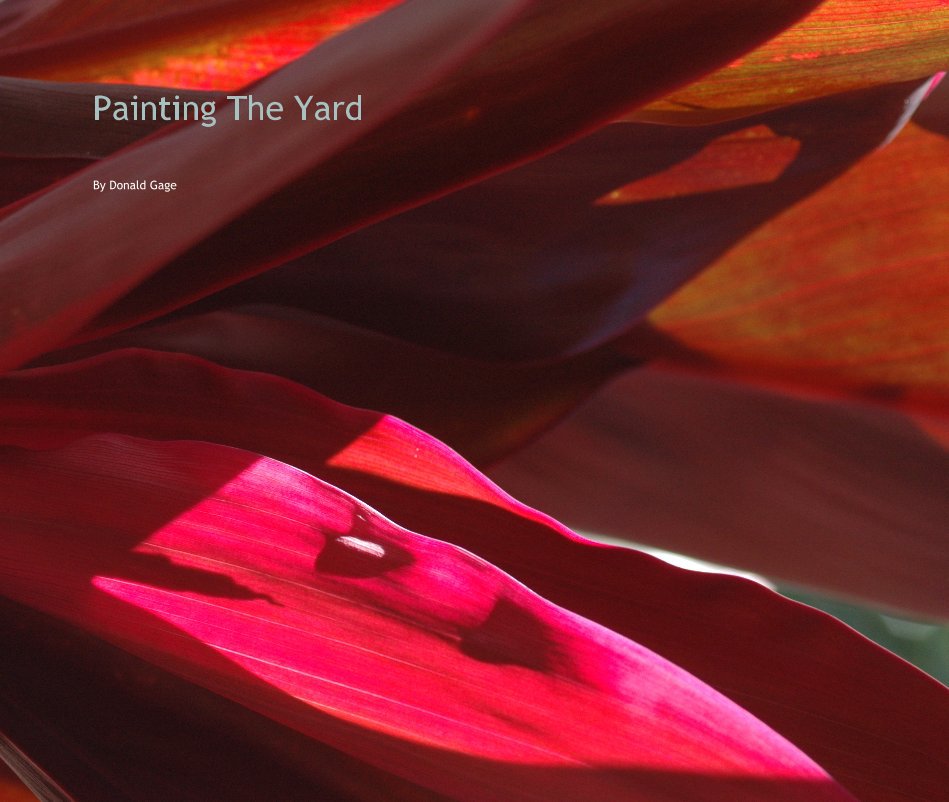 Visualizza Painting The Yard di Donald Gage