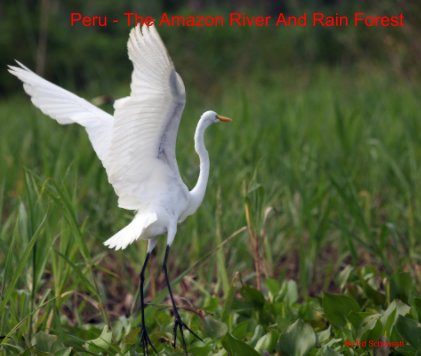 Peru - The Amazon River And Rain Forest book cover