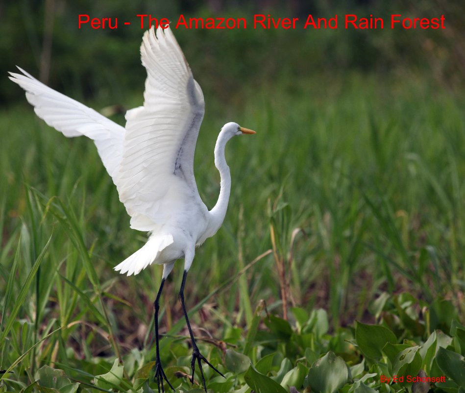Ver Peru - The Amazon River And Rain Forest por Ed Schonsett