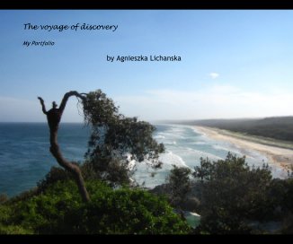 The voyage of discovery book cover