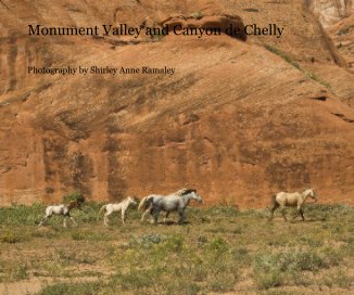 Monument Valley and Canyon de Chelly book cover