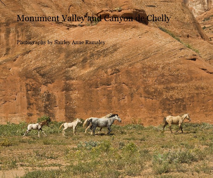 Monument Valley and Canyon de Chelly nach Photography by Shirley Anne Ramaley anzeigen
