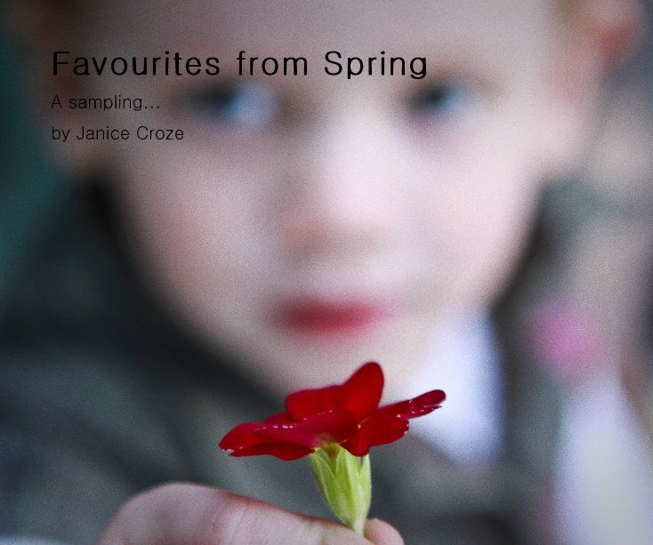 View Favourites from Spring by Janice Croze