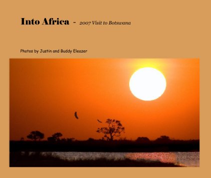 Into Africa  -  2007 Visit to Botswana book cover