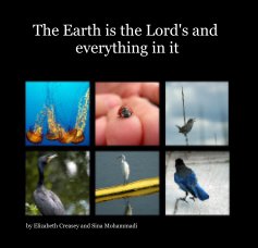 The Earth is the Lord's and everything in it book cover