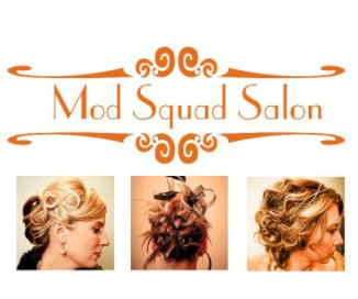 Mod Squad Salon book cover